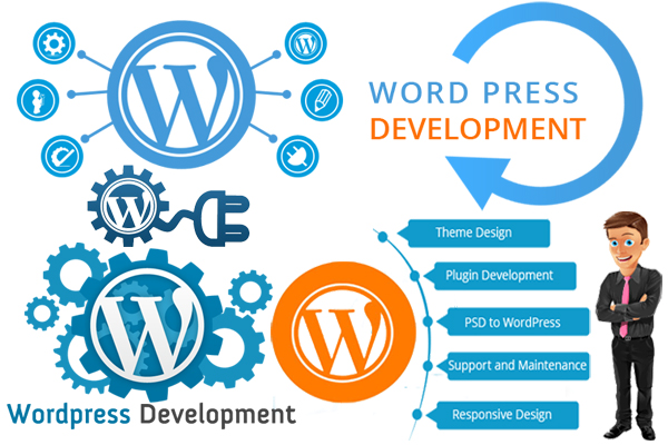 Wordpress Development Company in Lucknow